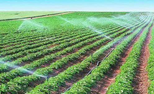 操女人的网站农田高 效节水灌溉